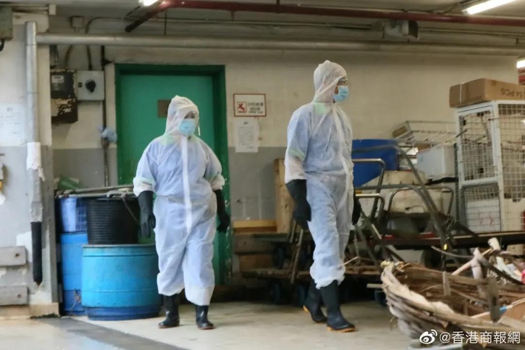 海鲜最新病毒，面对变化展现自信，成就无限可能