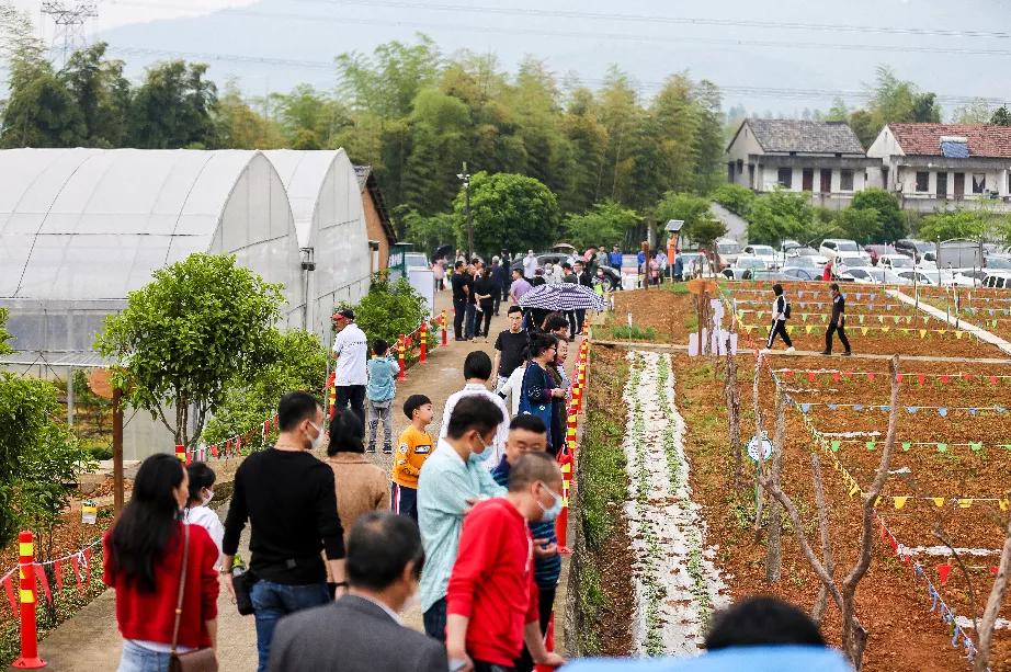 区块链技术与智能渔业的前沿融合，最新区块鱼探索