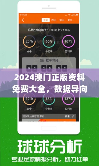2024新奥精准资料免费大全078期,平衡执行计划实施_响应版62.468