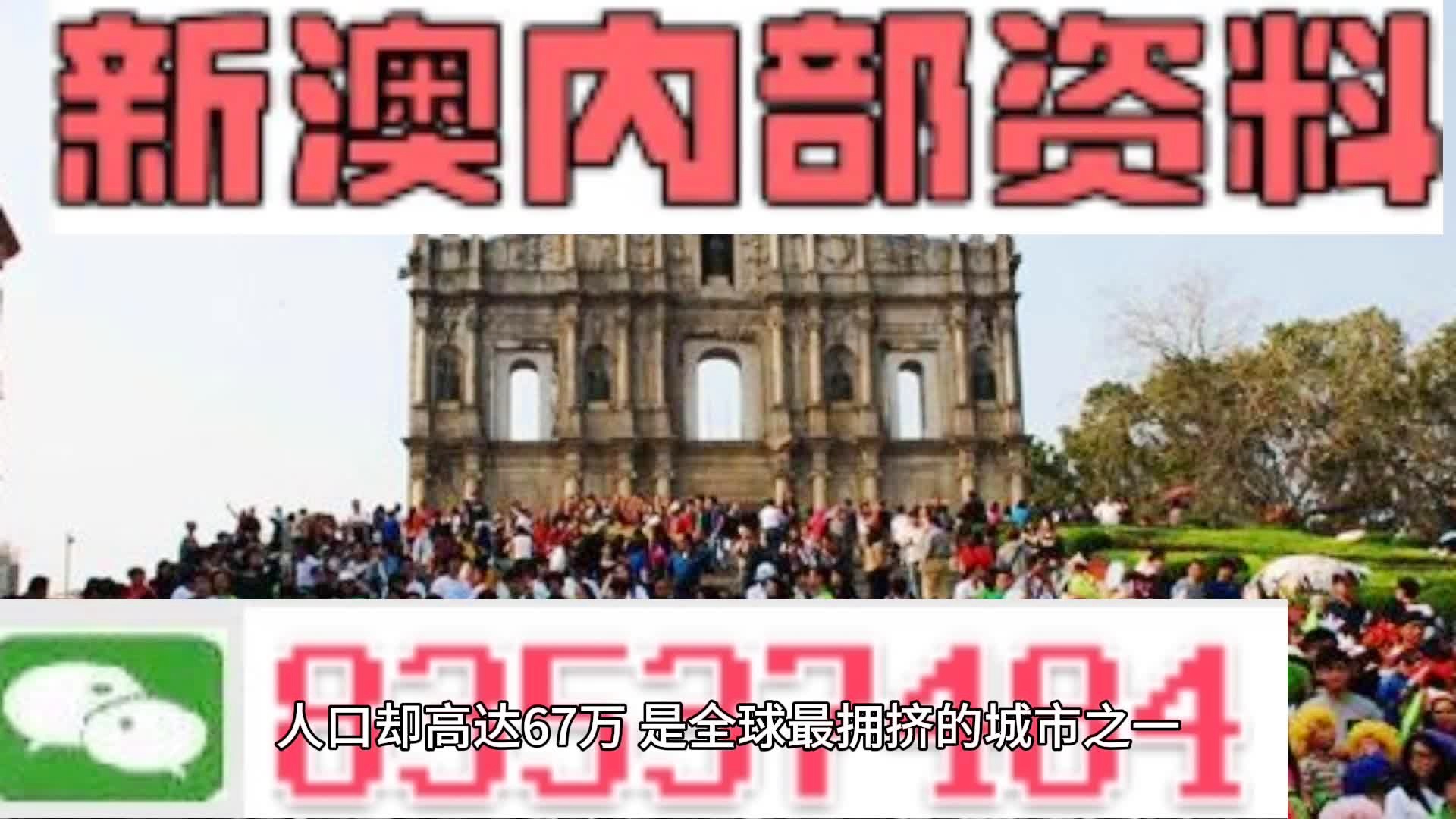 2024新澳正版免费资料大全,精准数据评估_职业版51.617
