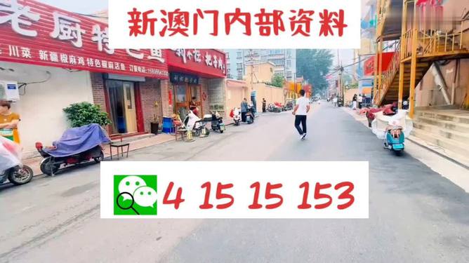 2024新澳门天天开好彩大全正版,现象分析定义_远光版89.280