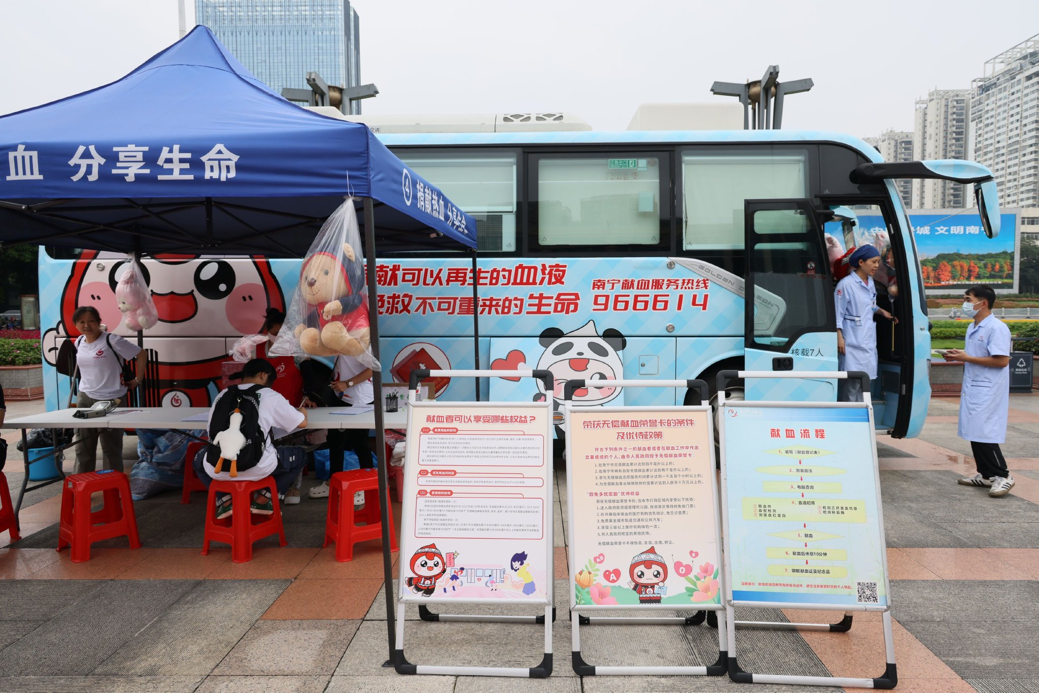 2024年最新献血规定步骤指南发布