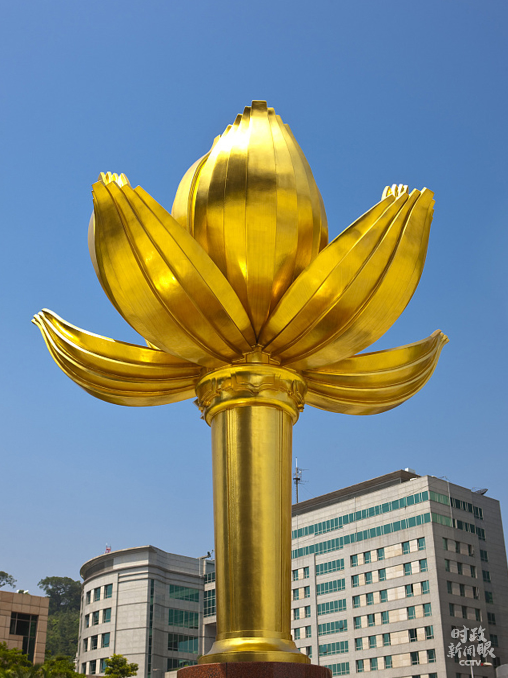 澳门四不像图片大全2024年,科学解说指法律_豪华款43.805