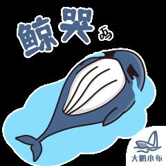 澳门新三码必中一免费,完善实施计划_声学版53.348