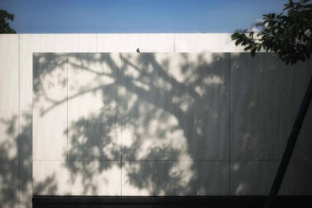 郑立中最新动态原因深度探析