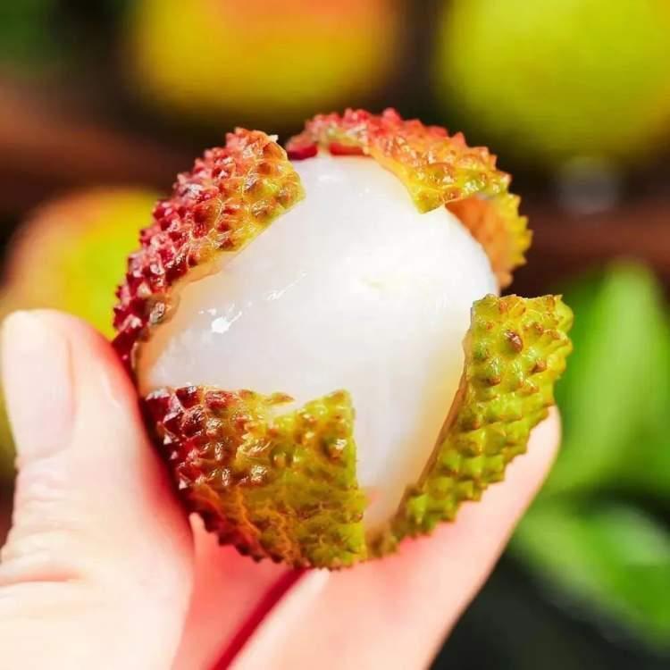 浙江杨梅上市时间与季节探寻，杨梅成熟季揭秘