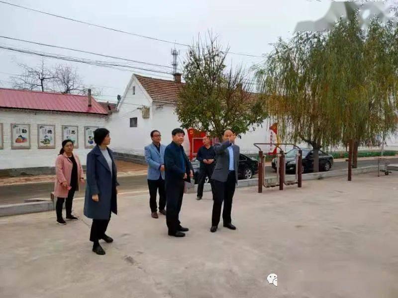 辛寨搬迁最新动态揭秘，小巷风情与迷人小店的独特魅力