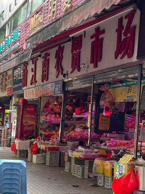 江南市场行情,江南市场行情，一场自然美景的探索之旅