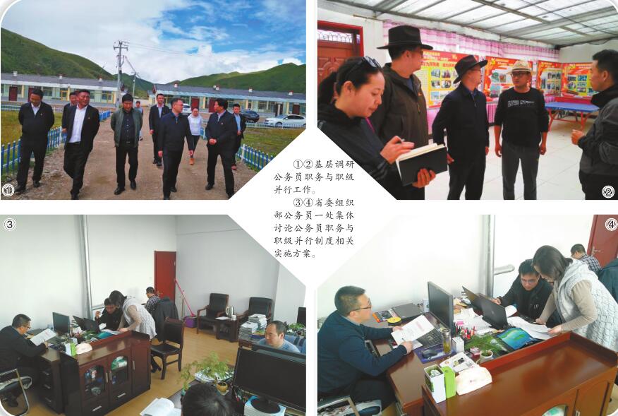 济南职级并行动态更新,济南职级并行动态更新，解读要点、影响与展望