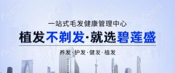 碧莲盛植发价格表详解，深入分析与观点阐述