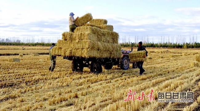 秸秆新奇迹，温情时光下的秸秆奇遇记