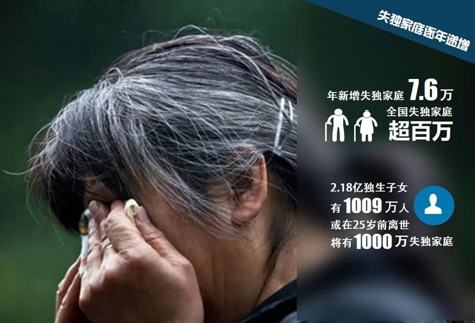 深度解析，失独现象的最新消息与动态