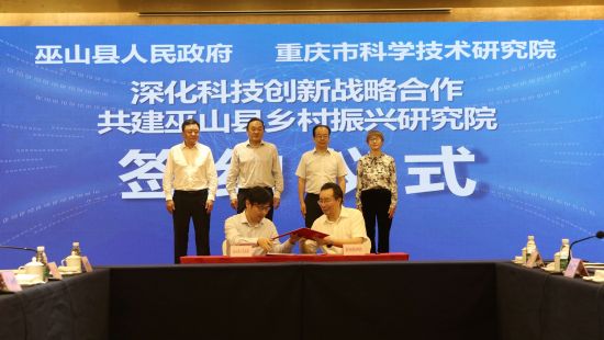 巫山新闻网揭秘城市角落的温馨日常最新新闻资讯