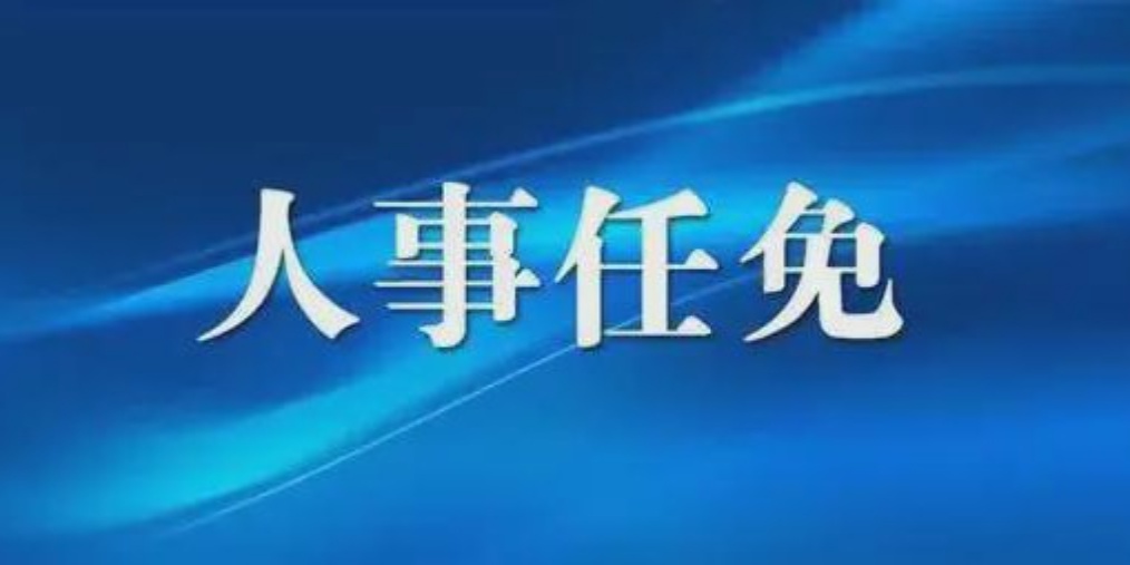 庆云县最新人事任免及小巷深处的独特风味揭秘