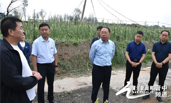 晋中玉米价格最新动态与小巷深处的玉米情缘