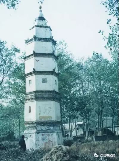 西塔口村最新动态，科技前沿产品深度解析