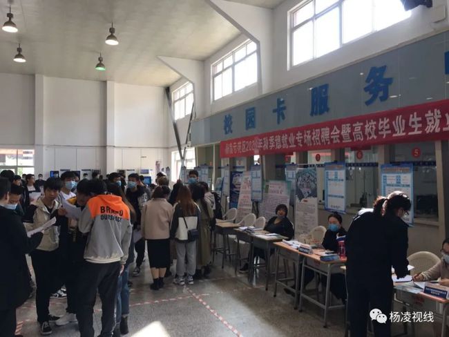 杨凌幼儿园最新招聘信息发布