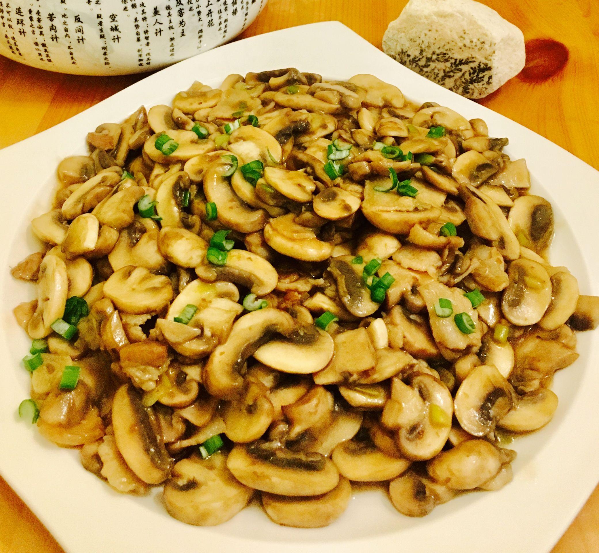 最新双孢菇，学习变化的力量与自信成就之美之探索