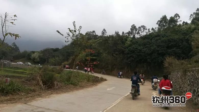 谷路最新，与自然美景的轻松遨游之旅