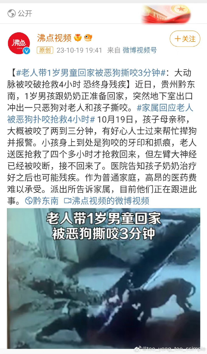 最新狗咬人事件深度解析，观点阐述与探讨
