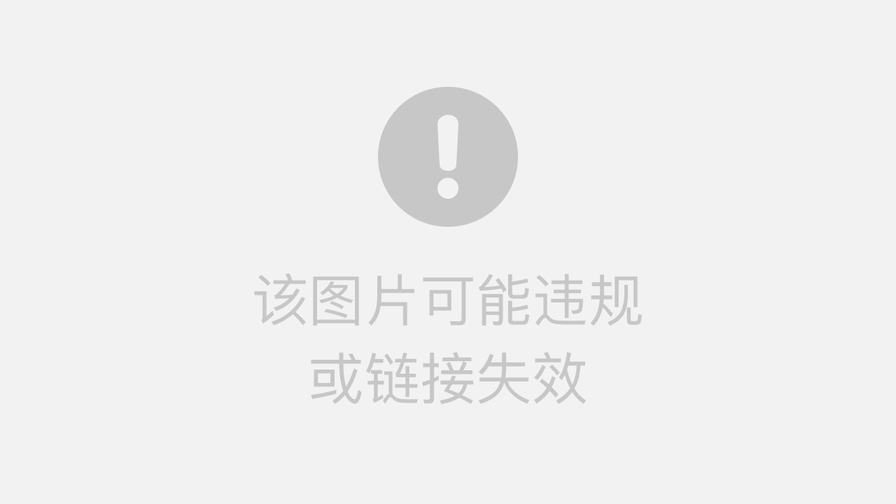 最新优化算法探索，小巷宝藏与特色小店的独特魅力