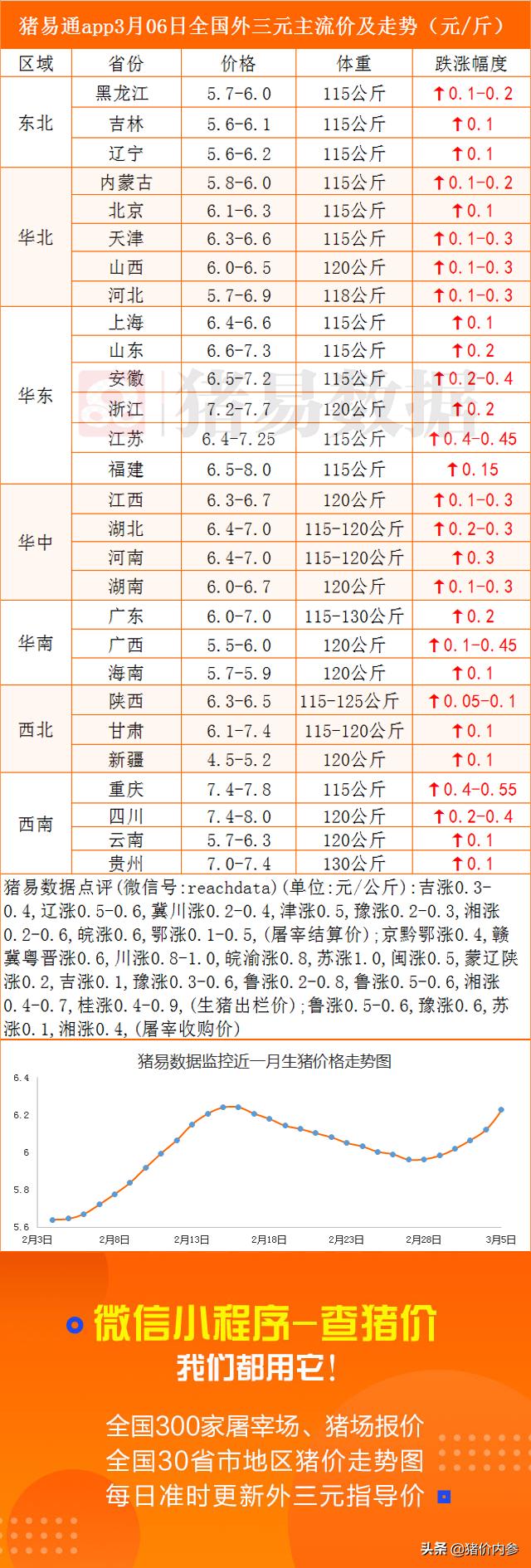 最新猪价分析与点评指南，全面解读如何完成猪价分析与点评任务
